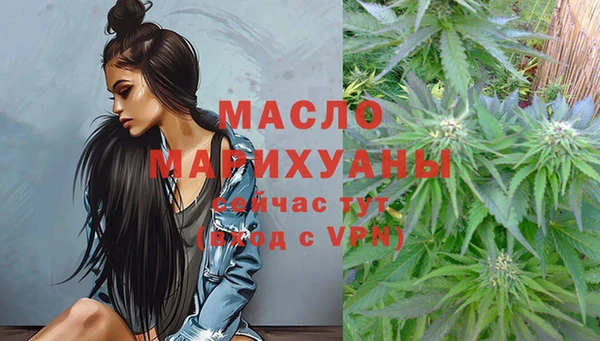сатива Балахна
