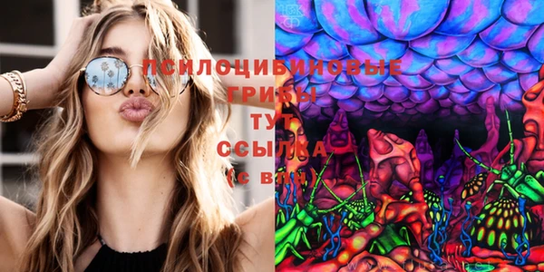 сатива Балахна