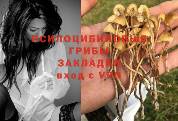тгк Баксан